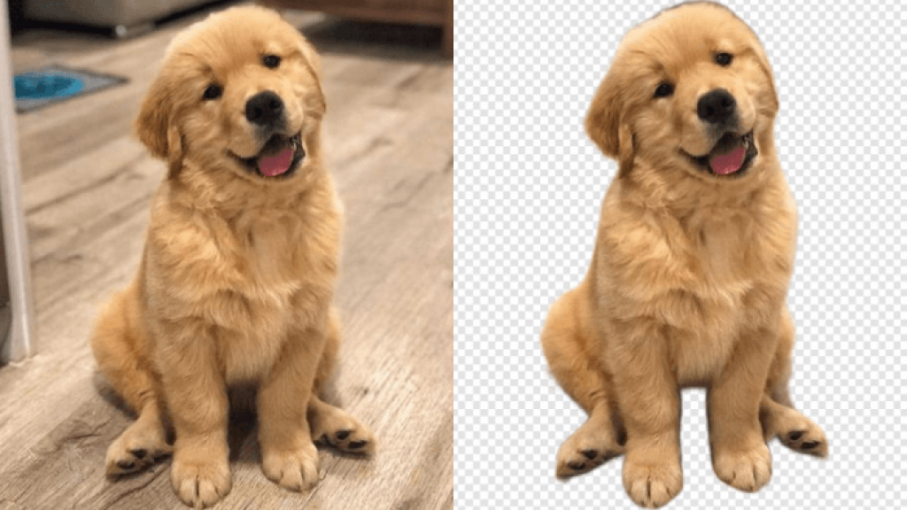 How to Remove & Edit Photo Background with VanceAI?