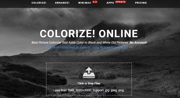 imagecolorizer.com