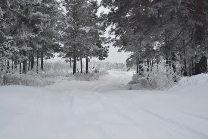 雪