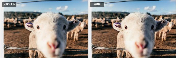 vanceai ピンボケ ぼやけた 写真 ブレ 補正 アプリ サイト