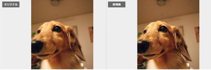 vanceai ピンボケ ぼやけた 写真 ブレ 補正 アプリ サイト