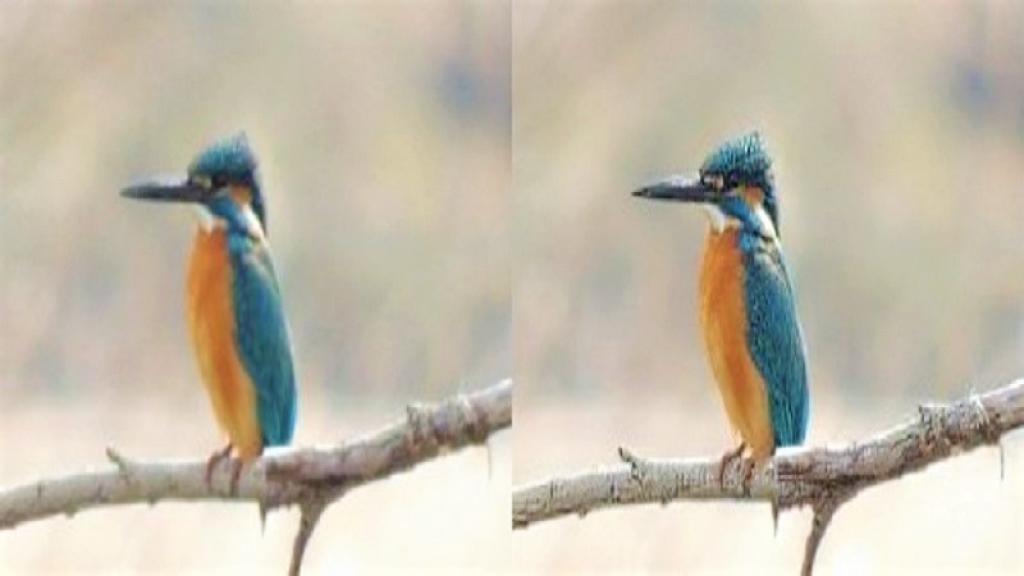 初心者向けのピンボケ写真修正ツールVanceAI 画像鮮明化