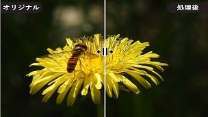 ぼやけた写真をくっきりさせる！AIツールVanceAI画像鮮明化の仕組みと使い方