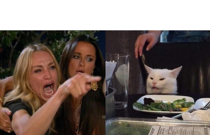 meme とは