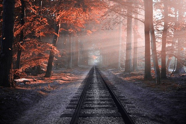 森の中の光電車の線路