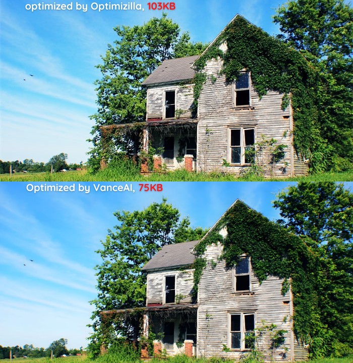 image optimized by Optimizilla and VanceAI
