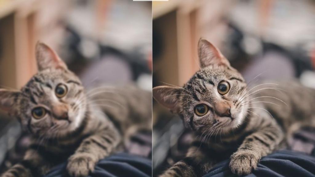 Wie Sie mit VanceAI Bilder schärfen