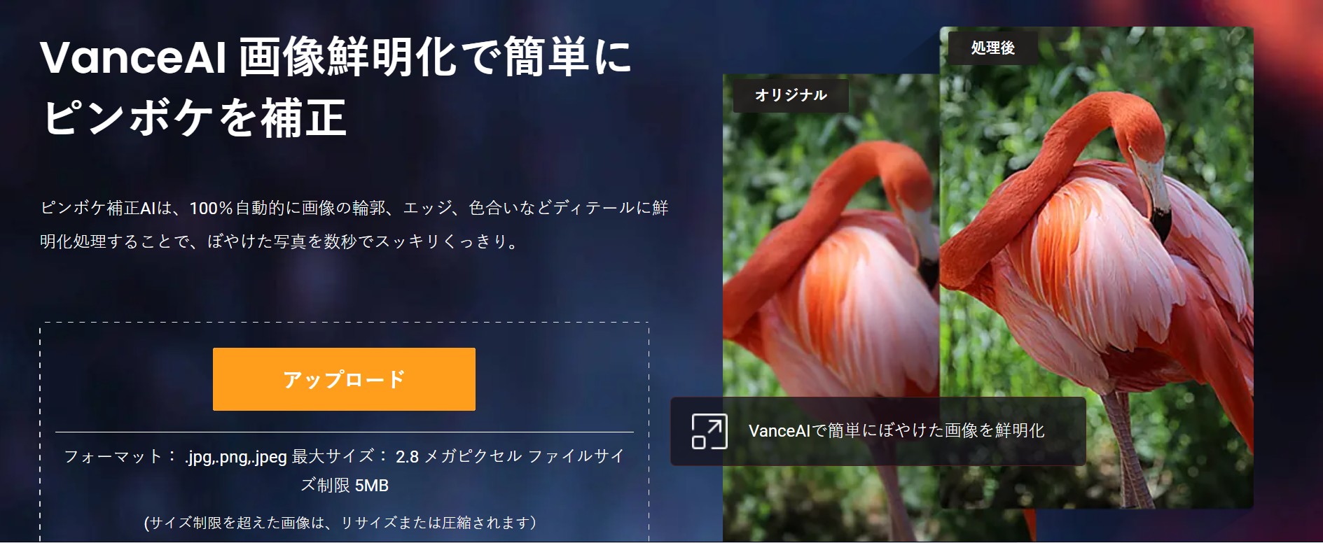 ぼやけた画像補正 VanceAI