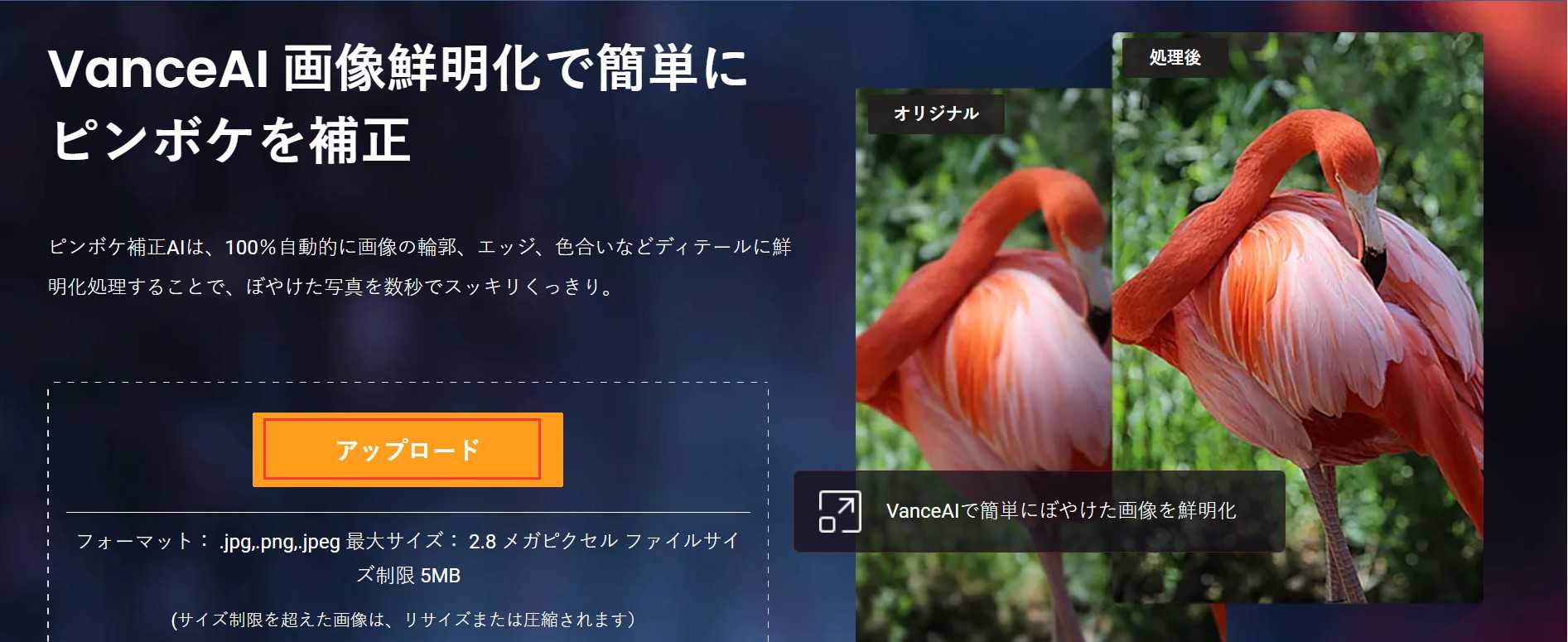 ぼやけた画像補正 VanceAI