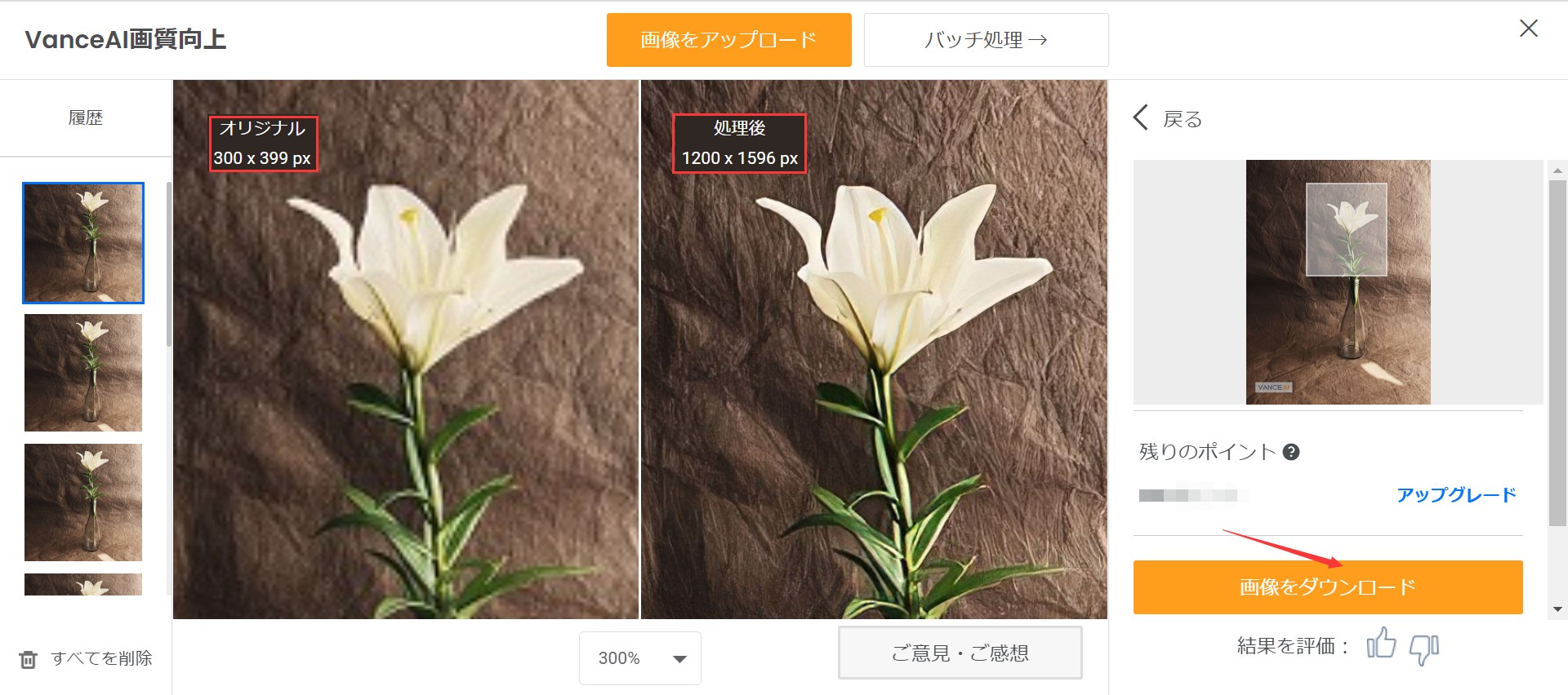 美しい画像サイズ変更STEP３　VanceAI画像拡大