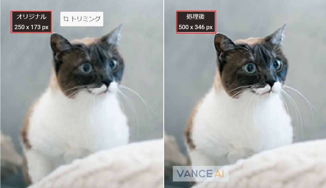 画像を修正した効果図 VanceAI画像拡大