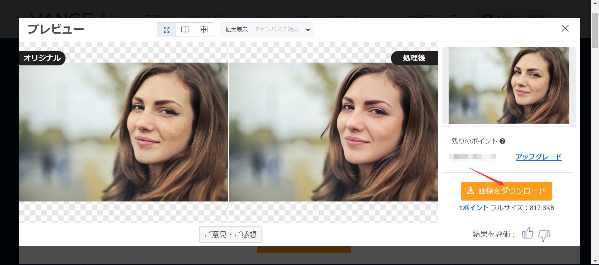 きれいな自撮りを入手する方法STEP３　VanceAI顔写真レタッチ