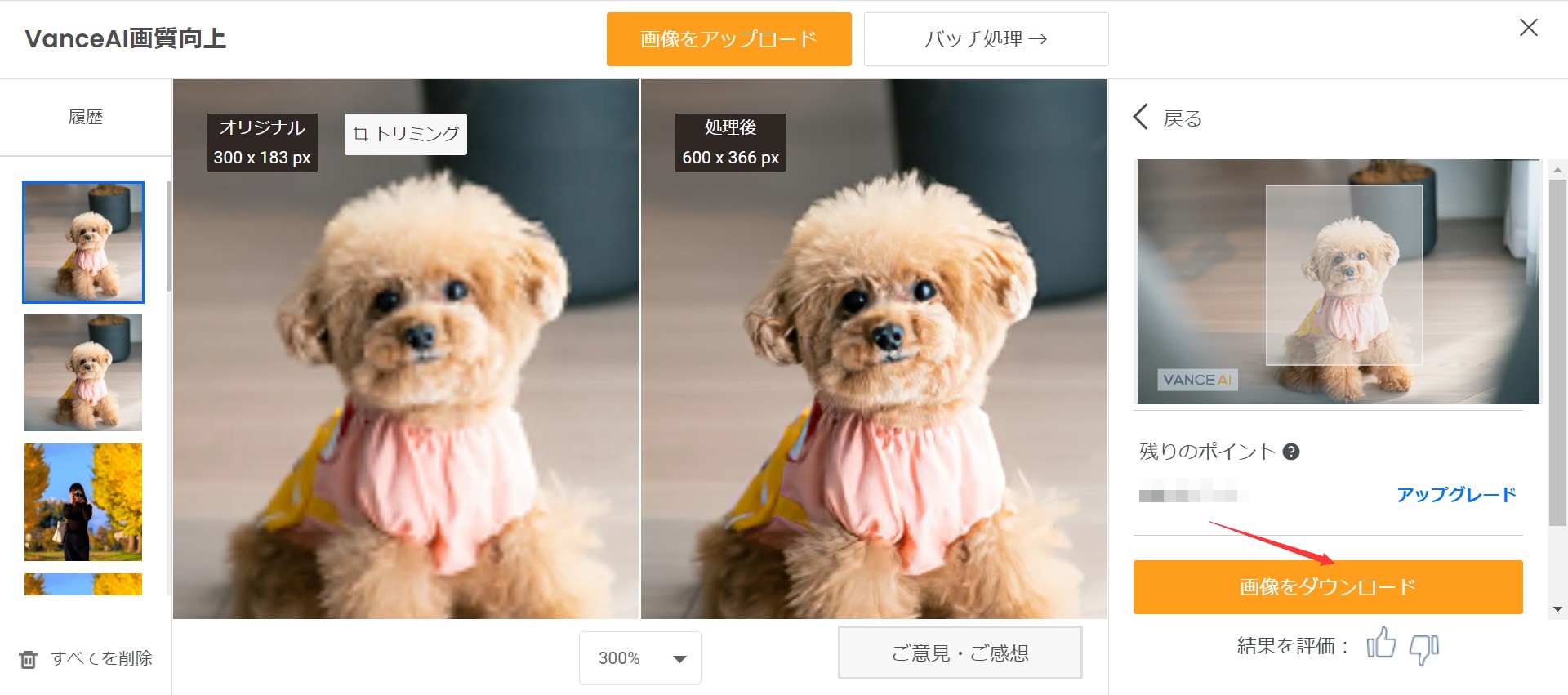野球試合の写真を高画質化するSTEP３