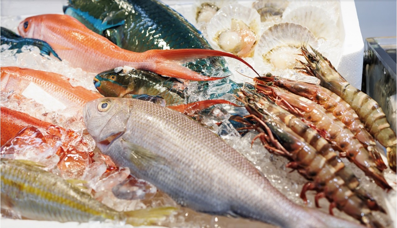 魚
