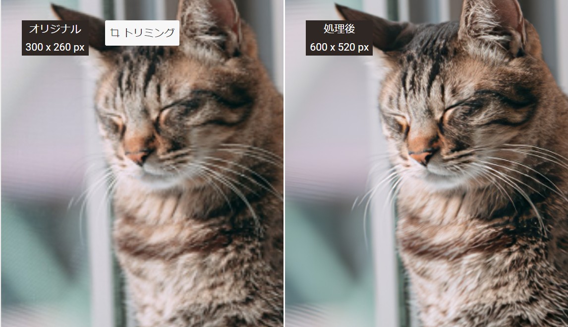 AI画像拡大