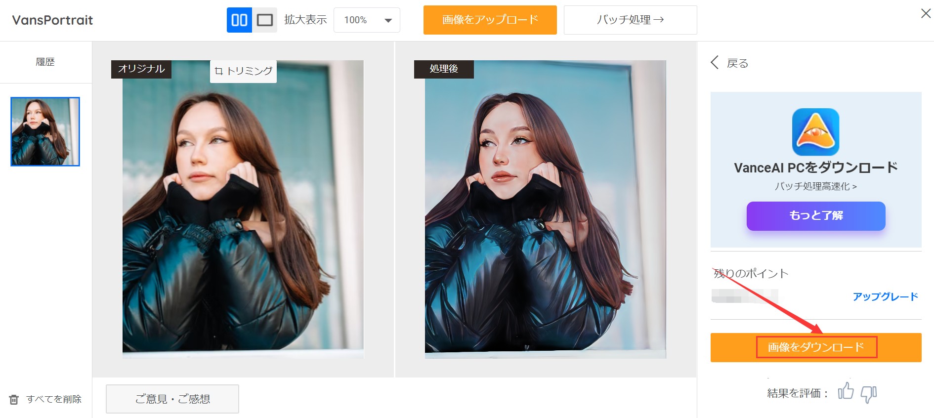 ステップ3：結果のダウンロード