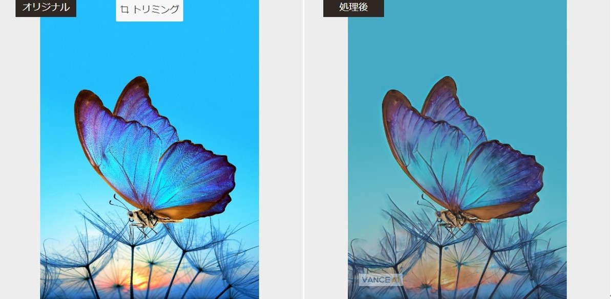 VanceAI写真イラスト化