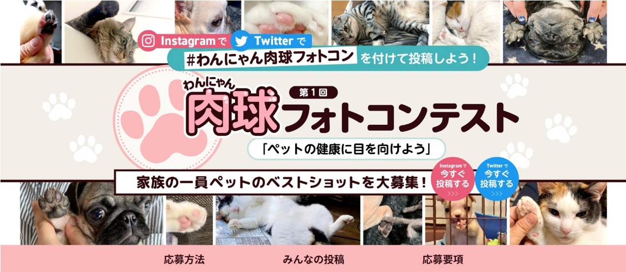 わんにゃん肉球フォトコンテスト