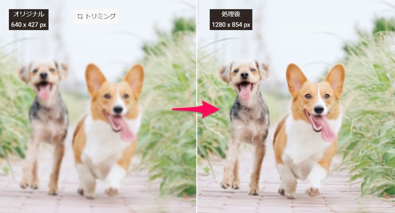 VanceAI画像拡大