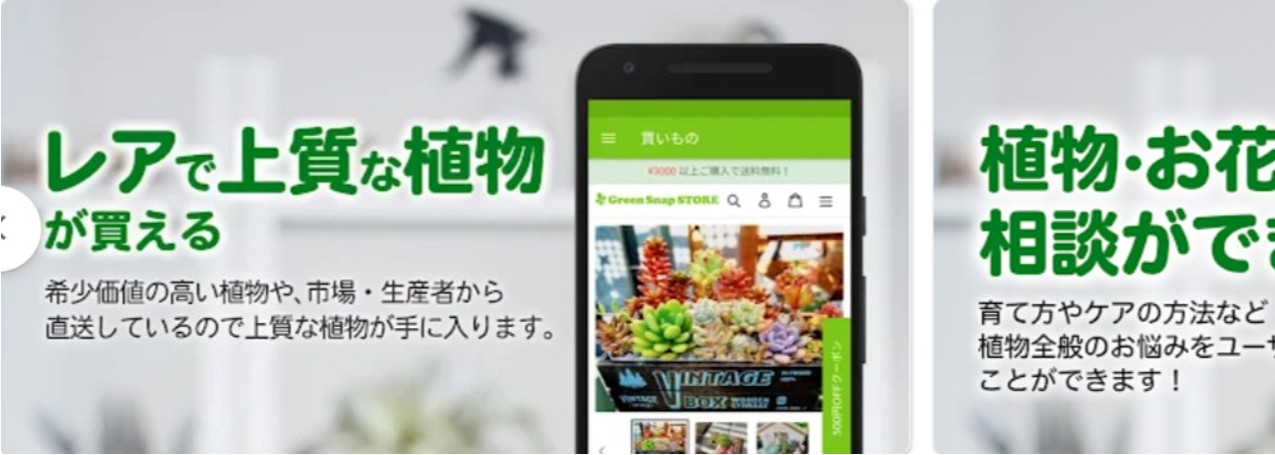 GreenSnap