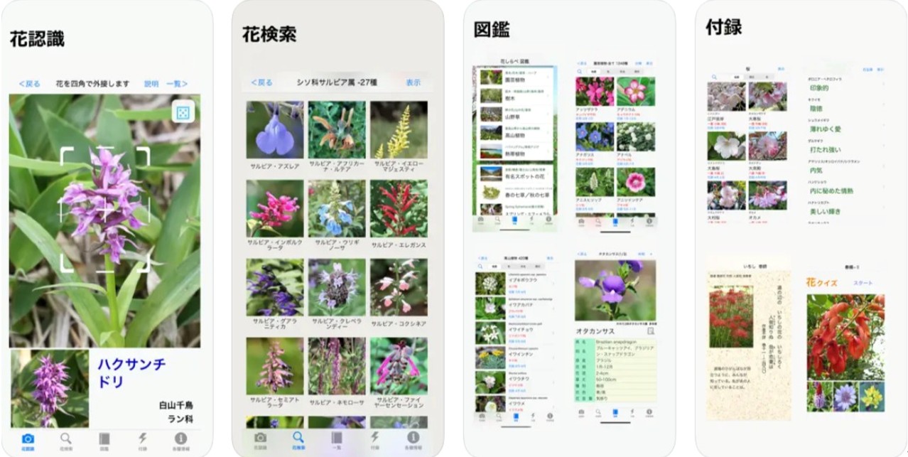 花しらべ