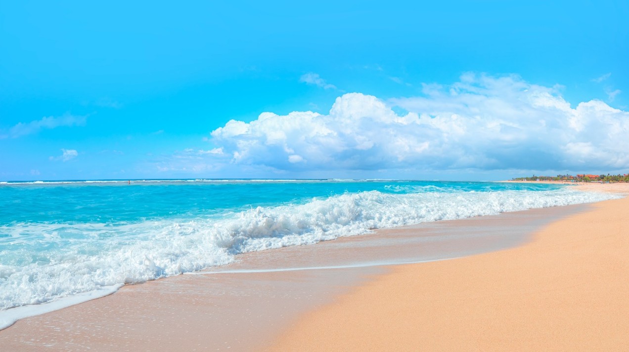 海