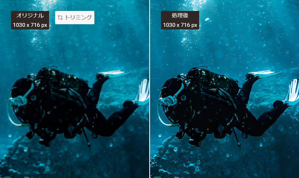 VanceAI 画像鮮明化