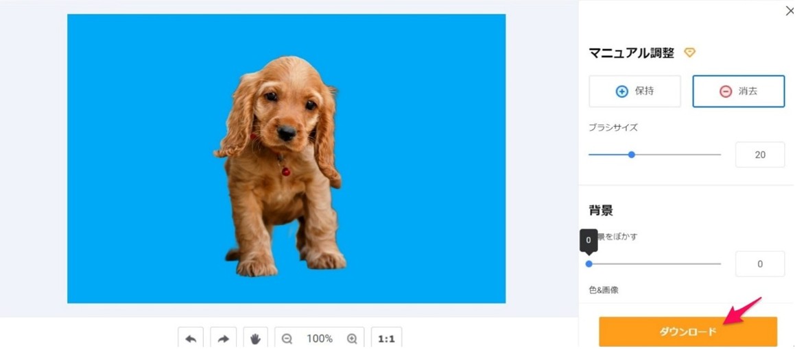 写真をダワンロード