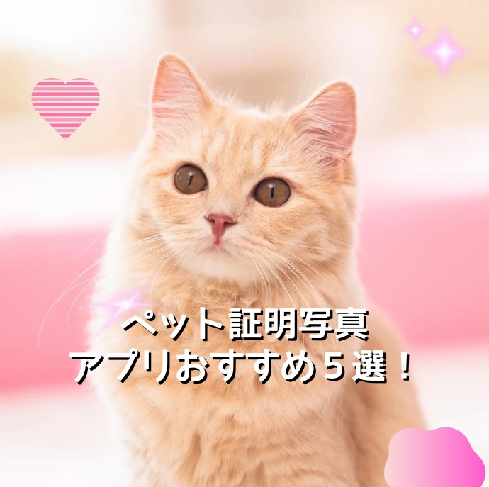 【超簡単】ペット証明写真アプリおすすめ５選！超かわいいペット証明写真の作り方も！