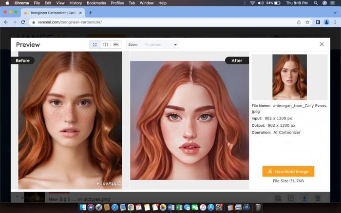VanceAI-Toongineer Cartoonizer
