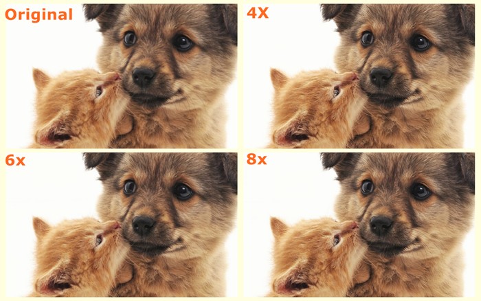 original-vs-enlarged