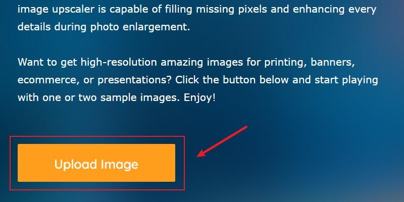 Upload Image to VanceAI Image Enlarger