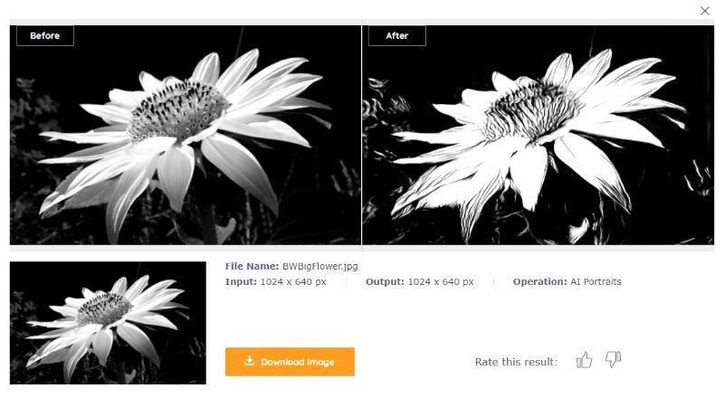 BWBigFlowerSketch