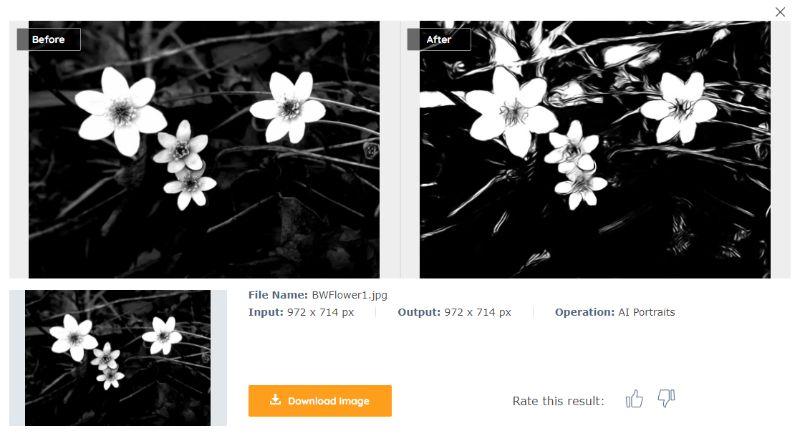 BWFlowerGardenSketch