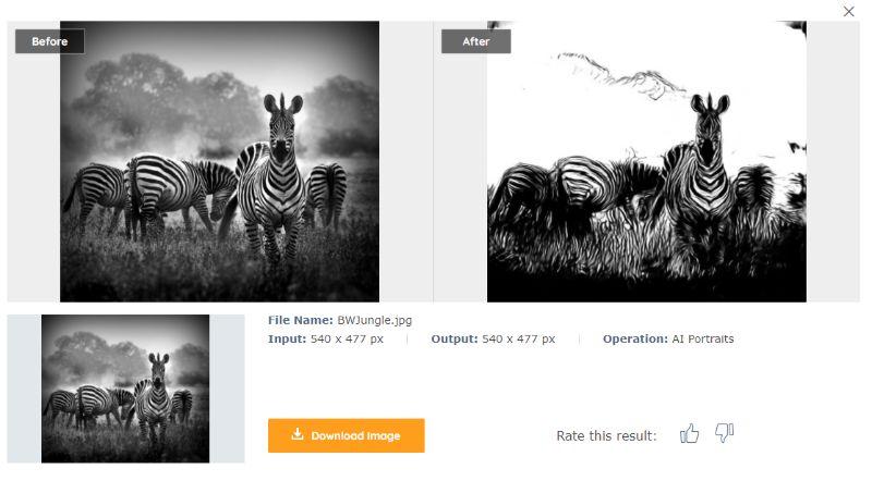BWJungleSketch
