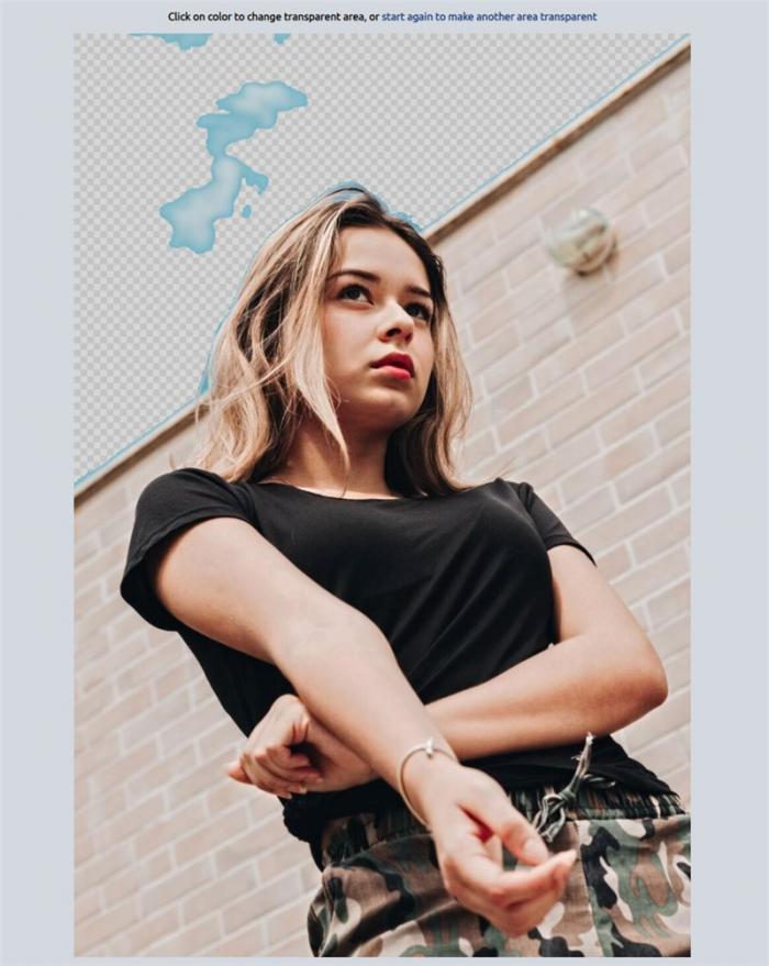 make background transparent with Lunapic step 2