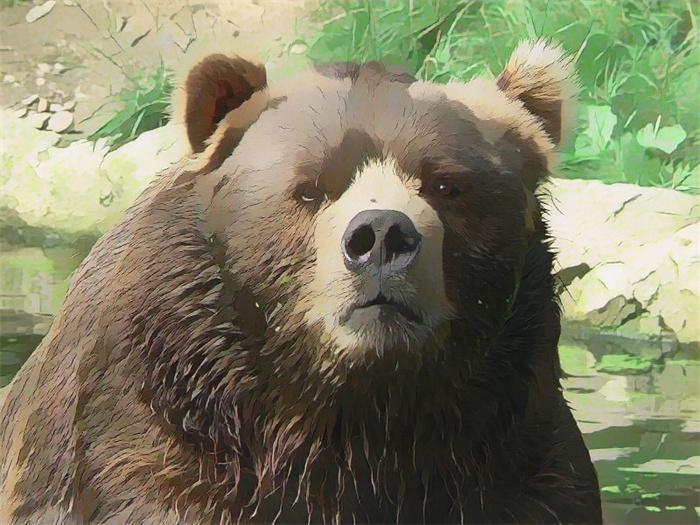 cartoonizeBearFaceReal