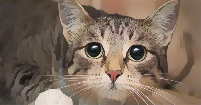 cartoonizeCatFaceR