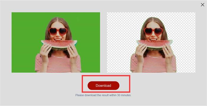 How to Remove Green Screen with Removebg pro Step2