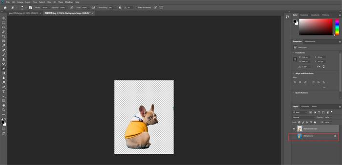 make background transparent with PS Duplicate step 3