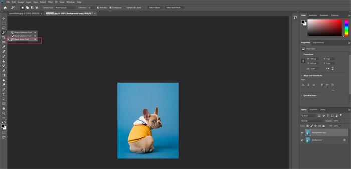 make background transparent with PS Duplicate step 2