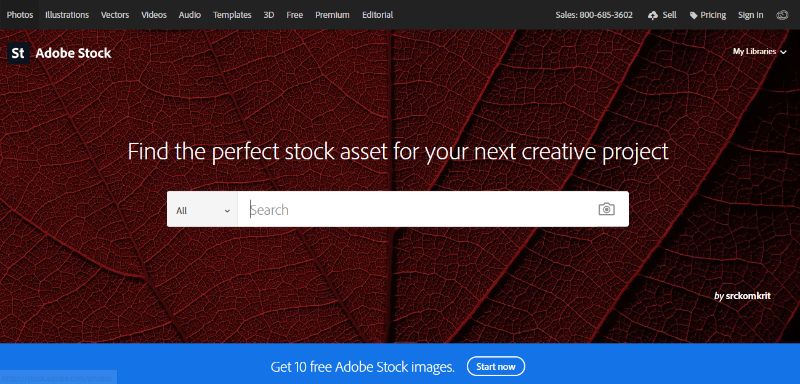 Adobe Stock Photo Selling
