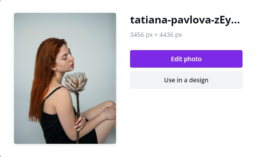 how to remove background in canva_step2