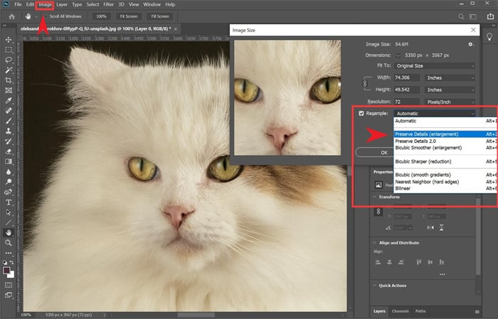 Photoshop Step 1