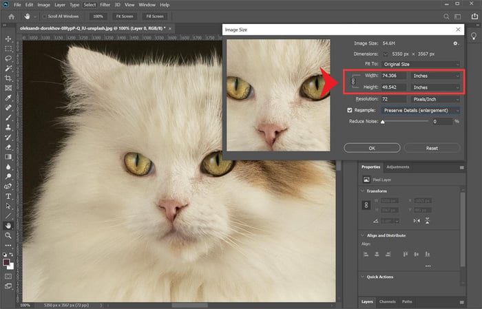 Photoshop Step 2