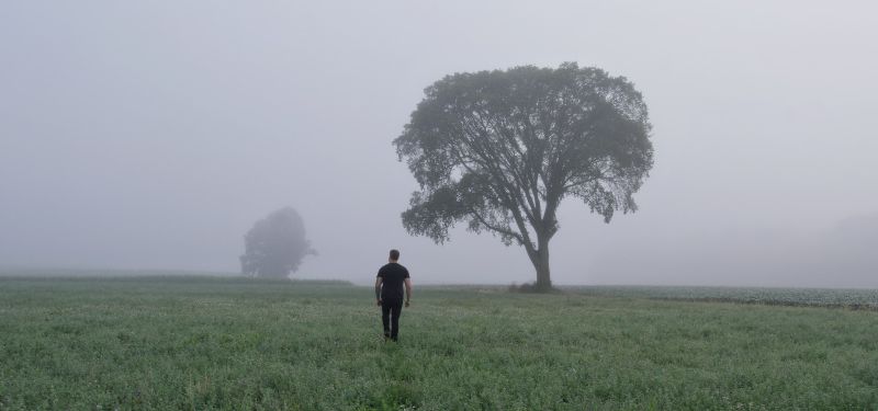 Best Fog Photo Example 2