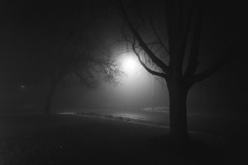 Best Fog Photo Example 10