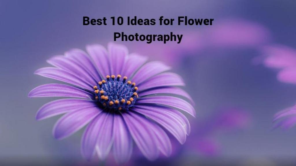 Best 10 Ideas for Flower Photography