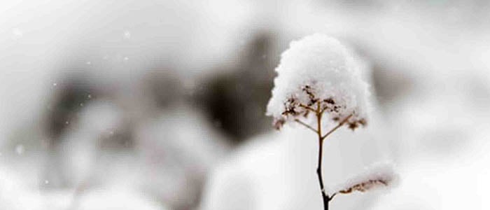 snow picture ideas