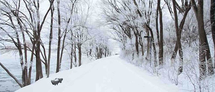 snow picture ideas